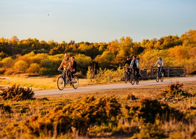 Aktiv konferens, Cykla Gotland